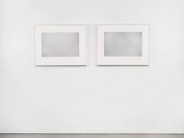 "Untitled" (Diptych)